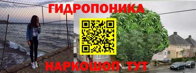mdpv Кингисепп