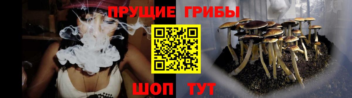 Галлюциногенные грибы прущие грибы  Вход с VPN  Краснодар 